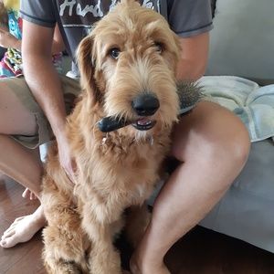 Meet your Posher, Mary